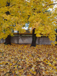 Similar image 22251466