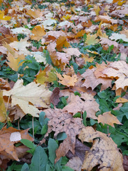 Similar image 22249059