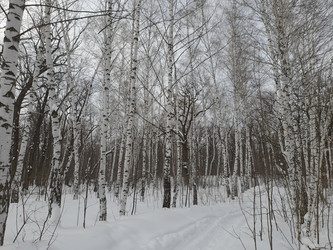 Similar image 22249060