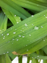 Similar image 22249062