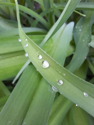 Similar image 22249063