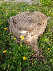 Similar image 22249064