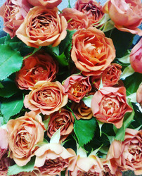 Similar image 22249065