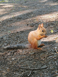 Similar image 22249067