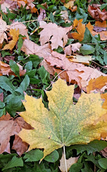 Similar image 22249068