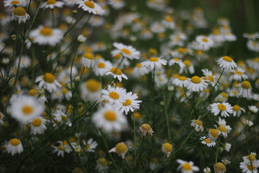 Similar image 22249069