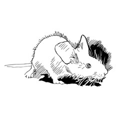 Similar image 22250806