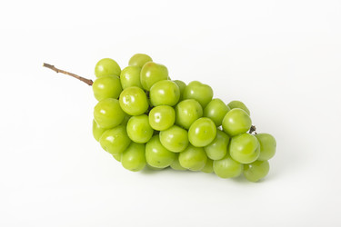 Similar image 22251143