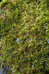 Similar image 22251470