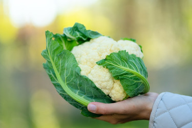 Similar image 22262287