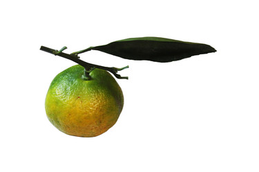 Similar image 22251471