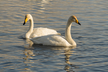 Similar image 22251683