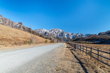 Similar image 22251687