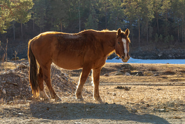 Similar image 22251688