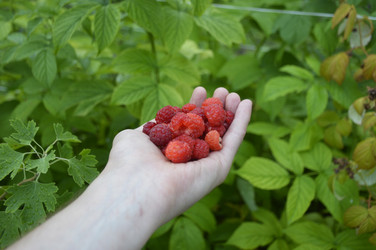 Similar image 22251481