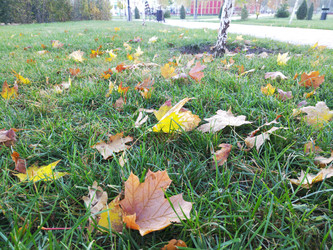 Similar image 22251691