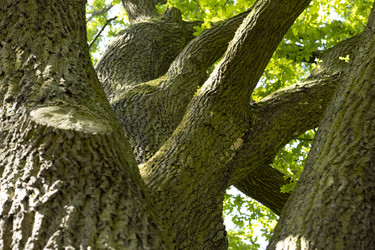 Similar image 22248737