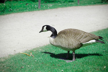 Similar image 22248754