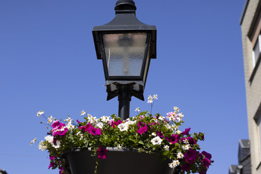 Similar image 22248755