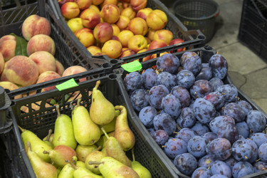 Similar image 22275544