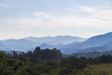 Similar image 22275547