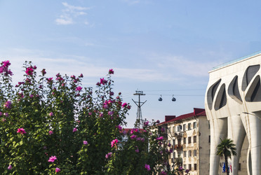 Similar image 22275548