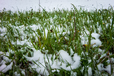 Similar image 22250833