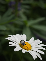 Similar image 22251493