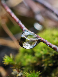 Similar image 22251494