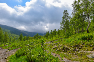 Similar image 22251693