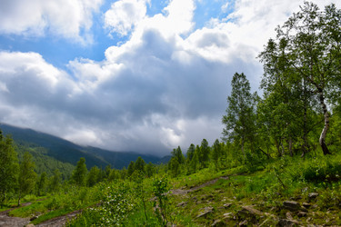 Similar image 22251694