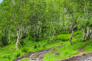 Similar image 22251695