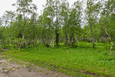 Similar image 22251696