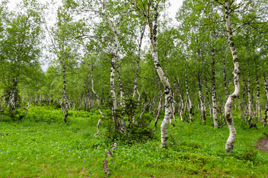 Similar image 22251697