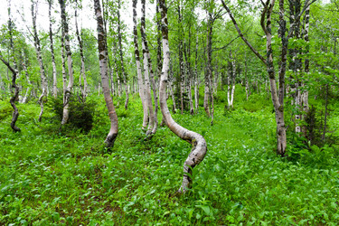 Similar image 22251698