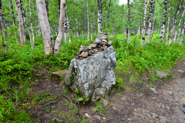 Similar image 22251699