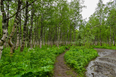 Similar image 22251701