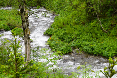 Similar image 22251702