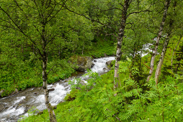 Similar image 22251703