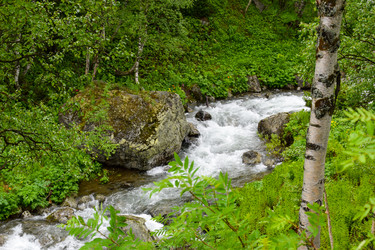 Similar image 22251704