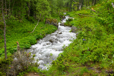 Similar image 22251705