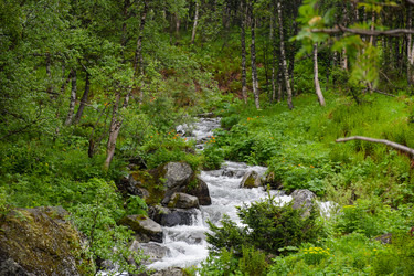 Similar image 22251706