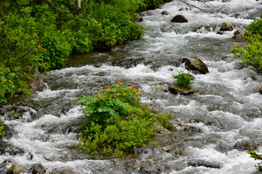 Similar image 22251707