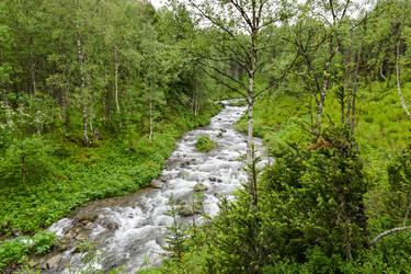 Similar image 22251708