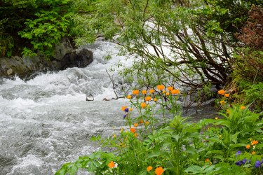 Similar image 22251709