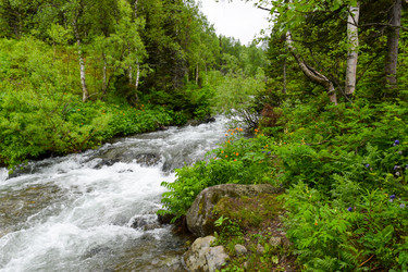 Similar image 22251710