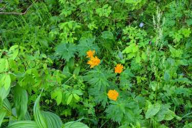 Similar image 22251712