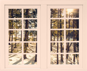 Similar image 22251995