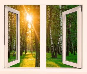 Similar image 22251998