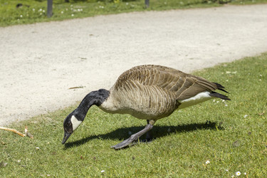 Similar image 22253067